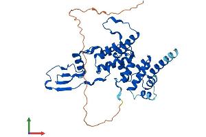 AlphaFold protein structure predicition of Mouse Recombinant Mrps22 Protein, UniprotID Q9CXW2