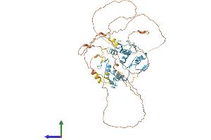 AlphaFold protein structure predicition of Mouse Recombinant Plag1 Protein, UniprotID Q9QYE0
