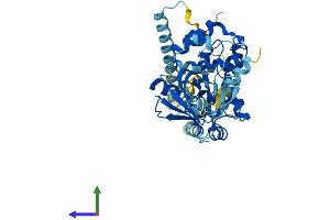AlphaFold protein structure predicition of Human Recombinant CYTH3 Protein, UniprotID O43739