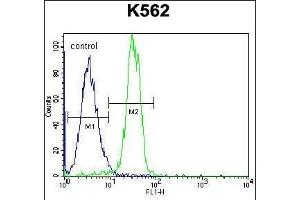 STARD6 Antibody (C-term) (ABIN655777 and ABIN2845214) flow cytometric analysis of K562 cells (right histogram) compared to a negative control cell (left histogram). (STARD6 anticorps  (C-Term))