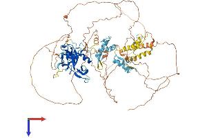 AlphaFold protein structure predicition of Human Recombinant PRDM1 Protein, UniprotID O75626