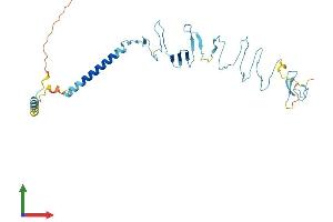 AlphaFold protein structure predicition of Mouse Recombinant Sgcb Protein, UniprotID P82349
