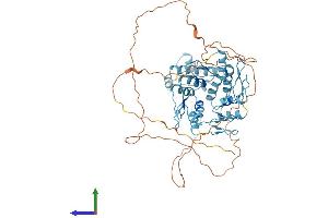 AlphaFold protein structure predicition of Human Recombinant ZNF324 Protein, UniprotID O75467