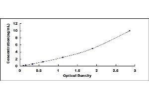Typical standard curve (Cyclin A Kit ELISA)