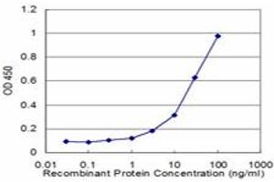 Detection limit for recombinant GST tagged PLK1 is approximately 1ng/ml as a capture antibody. (PLK1 anticorps  (AA 1-603))