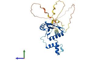 AlphaFold protein structure predicition of Human Recombinant CISH Protein, UniprotID Q9NSE2