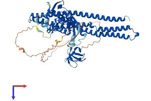 AlphaFold protein structure predicition of Human Recombinant SNX33 Protein, UniprotID Q8WV41