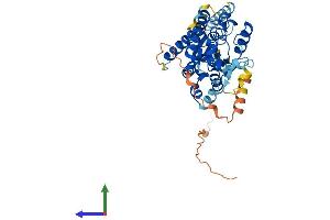 AlphaFold protein structure predicition of Human Recombinant UST Protein, UniprotID Q9Y2C2