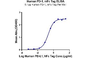 Immobilized Human PD-1, mFc Tag at 1 μg/mL (100 μL/well) on the plate.