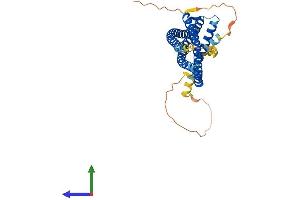 AlphaFold protein structure predicition of Mouse Recombinant Arfip2 Protein, UniprotID Q8K221