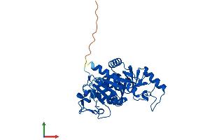 AlphaFold protein structure predicition of Human Recombinant UPP1 Protein, UniprotID Q16831