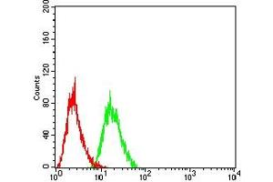 Flow cytometric analysis of HL-60 cells using CD334 mouse mAb (green) and negative control (red).
