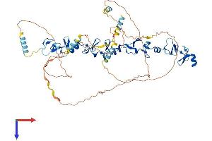 AlphaFold protein structure predicition of Human Recombinant PXN Protein, UniprotID P49023