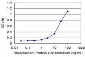 ELISA image for anti-Decapping Enzyme, Scavenger (DCPS) (AA 1-338) antibody (ABIN466201) (DCPS anticorps  (AA 1-338))