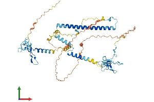 AlphaFold protein structure predicition of Mouse Recombinant Kansl2 Protein, UniprotID Q8BQR4