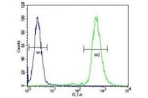 RPS6 antibody flow cytometric analysis of WiDr cells (green) compared to a negative control (blue).