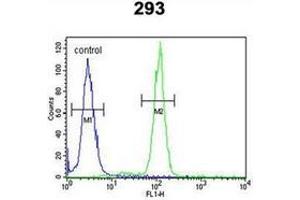 Flow cytometric analysis of 293 cells using OSTA Antibody (C-term) Cat. (OST alpha anticorps  (C-Term))