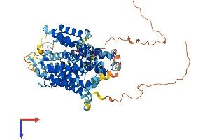 AlphaFold protein structure predicition of Human Recombinant SLC23A3 Protein, UniprotID Q6PIS1
