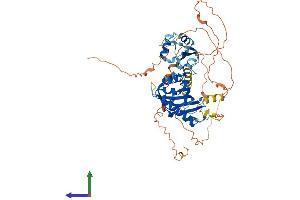 AlphaFold protein structure predicition of Human Recombinant NXF3 Protein, UniprotID Q9H4D5