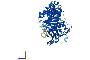 AlphaFold protein structure predicition of Human Recombinant TUBA1C Protein, UniprotID Q9BQE3