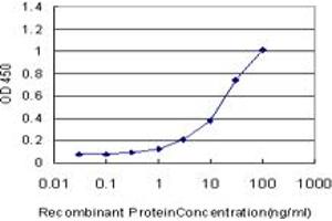 anti-Potassium Channel Tetramerisation Domain Containing 9 (KCTD9) (AA 1-389) antibody