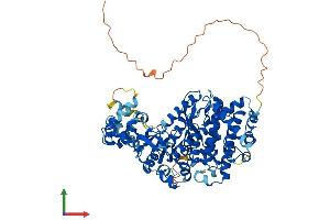 AlphaFold protein structure predicition of Human Recombinant ASTE1 Protein, UniprotID Q2TB18