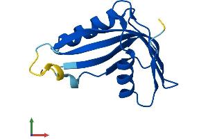 AlphaFold protein structure predicition of Mouse Recombinant Phpt1 Protein, UniprotID Q9DAK9
