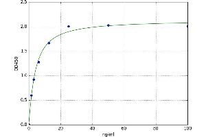 Carboxypeptidase M (CPM) ELISA Kit