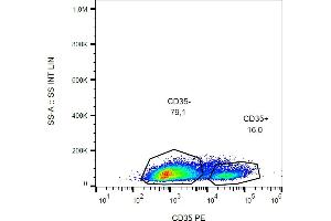 Flow cytometry analysis (surface staining) of CD35 in human peripheral blood with anti-CD35 (E11) PE.