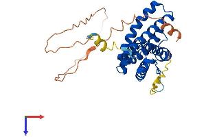 AlphaFold protein structure predicition of Human Recombinant UQCC1 Protein, UniprotID Q9NVA1