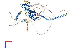 AlphaFold protein structure predicition of Human Recombinant SKIL Protein, UniprotID P12757