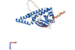 AlphaFold protein structure predicition of Mouse Recombinant Nat8l Protein, UniprotID Q3UGX3
