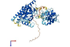 AlphaFold protein structure predicition of Human Recombinant LPCAT1 Protein, UniprotID Q8NF37