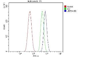 Flow Cytometry analysis of U87 cells using anti-UBE3A antibody (ABIN7599564). (ube3a anticorps  (AA 1-860))