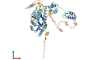 AlphaFold protein structure predicition of Human Recombinant POGK Protein, UniprotID Q9P215