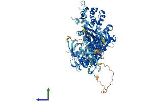 AlphaFold protein structure predicition of Human Recombinant VAV3 Protein, UniprotID Q9UKW4