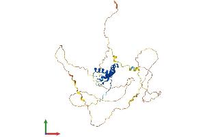 AlphaFold protein structure predicition of Mouse Recombinant Sox11 Protein, UniprotID Q7M6Y2