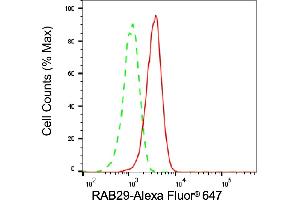 Flow cytometric analysis of RAB29 expression in HepG2 cells using RAB29 antibody (ABIN7800102), 1:2,000). (Recombinant RAB7L1 anticorps)