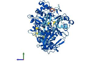 AlphaFold protein structure predicition of Mouse Recombinant Aacs Protein, UniprotID Q9D2R0