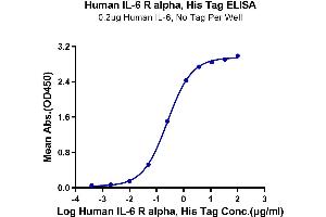 Immobilized Human IL-6, No Tag at 2 μg/mL (100 μL/well) on the plate.