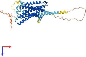 AlphaFold protein structure predicition of Mouse Recombinant Htr1b Protein, UniprotID P28334