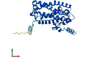 AlphaFold protein structure predicition of Mouse Recombinant Msmo1 Protein, UniprotID Q9CRA4