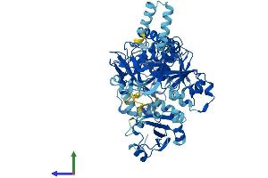 AlphaFold protein structure predicition of Mouse Recombinant Slc27a4 Protein, UniprotID Q91VE0