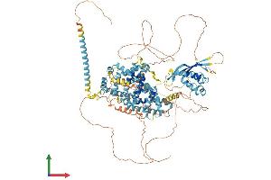 AlphaFold protein structure predicition of Mouse Recombinant Snx19 Protein, UniprotID Q6P4T1