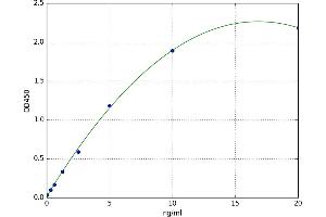 Neuregulin 4 (NRG4) ELISA Kit