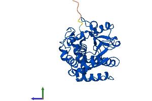 AlphaFold protein structure predicition of Human Recombinant SULT1A4 Protein, UniprotID P0DMN0