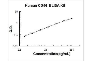 Typical Standard Curve