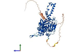 AlphaFold protein structure predicition of Mouse Recombinant Riox1 Protein, UniprotID Q9JJF3