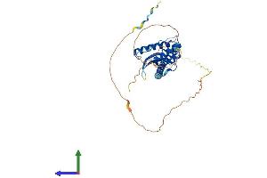 AlphaFold protein structure predicition of Mouse Recombinant Snx16 Protein, UniprotID Q8C080