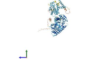 AlphaFold protein structure predicition of Human Recombinant AK7 Protein, UniprotID Q96M32